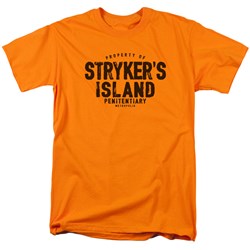 Superman - Mens Strykers Island T-Shirt