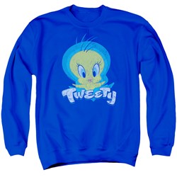 Looney Tunes - Mens Tweety Swirl Sweater