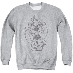 Looney Tunes - Mens Faded Taz Sweater