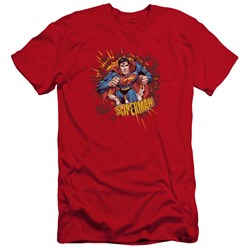 Superman - Mens Sorry About The Wall Premium Slim Fit T-Shirt