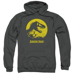 Jurassic Park - Mens T Rex Sphere Pullover Hoodie