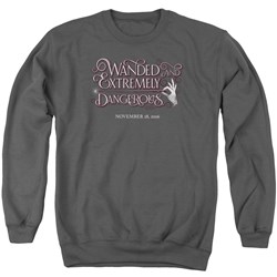Fantastic Beasts - Mens Wanded Sweater