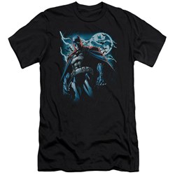 Batman - Mens Stormy Knight Premium Slim Fit T-Shirt
