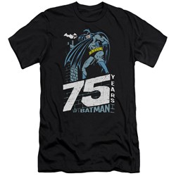 Batman - Mens Rooftop Premium Slim Fit T-Shirt