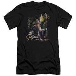 Hobbit - Mens Sword And Staff Premium Slim Fit T-Shirt