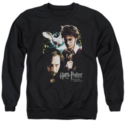 Harry Potter - Mens Harry And Sirius Sweater