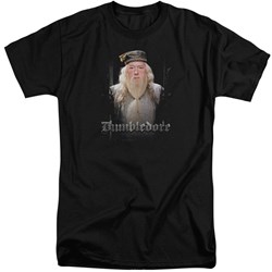 Harry Potter - Mens Dumble Doors Tall T-Shirt