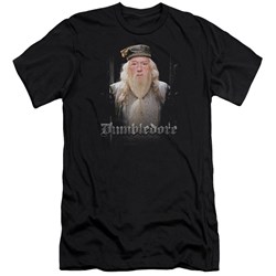 Harry Potter - Mens Dumble Doors Premium Slim Fit T-Shirt