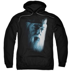 Harry Potter - Mens Dumbledore Face Pullover Hoodie