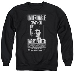 Harry Potter - Mens Undesirable No 1 Sweater
