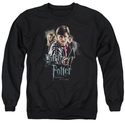 Harry Potter - Mens Deathly Hollows Cast Sweater
