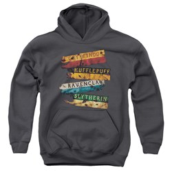 Harry Potter - Youth Burnt Banners Pullover Hoodie