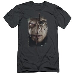 Harry Potter - Mens It All Ends Here Premium Slim Fit T-Shirt