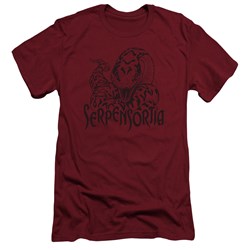 Harry Potter - Mens Serpensortia Slim Fit T-Shirt