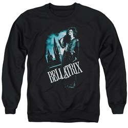 Harry Potter - Mens Bellatrix Full Body Sweater