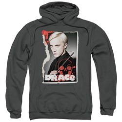 Harry Potter - Mens Draco Frame Pullover Hoodie