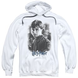 Harry Potter - Mens Harry In The Woods Pullover Hoodie