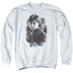Harry Potter - Mens Harry In The Woods Sweater