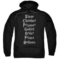 Harry Potter - Mens Titles Pullover Hoodie