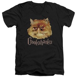 Harry Potter - Mens Crookshanks Color V-Neck T-Shirt