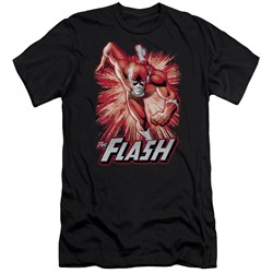 Jla - Mens Flash Red & Gray Premium Slim Fit T-Shirt