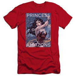 Jla - Mens Princess Of The Amazons Premium Slim Fit T-Shirt