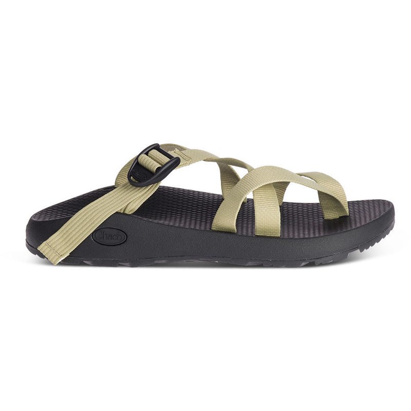 Men's tegu chaco hot sale