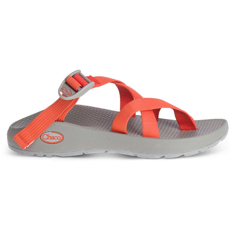 Chaco women's tegu online sandal