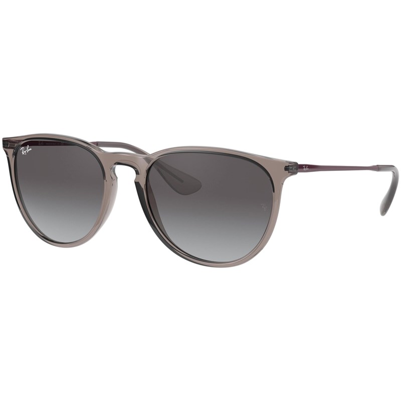 erika ray ban mens